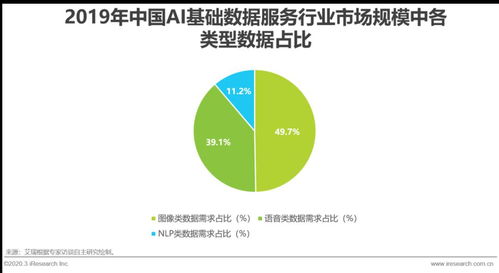 2020年中國AI基礎(chǔ)數(shù)據(jù)服務(wù)行業(yè)發(fā)展報(bào)告 數(shù)據(jù)處理服務(wù)篇